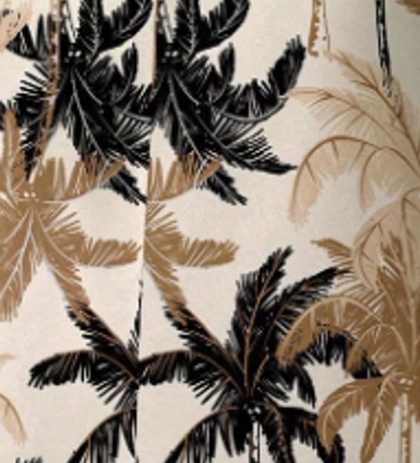 Coconut Palm Print